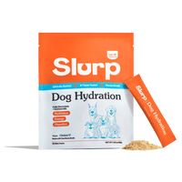 Dog Hydration