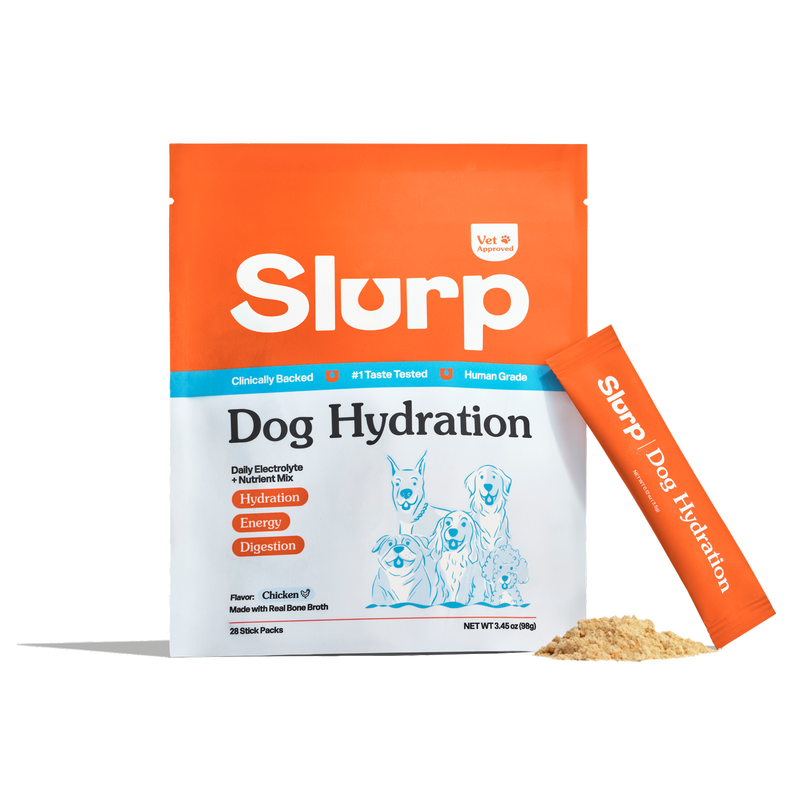 Dog Hydration