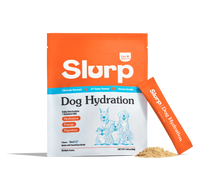 Dog Hydration